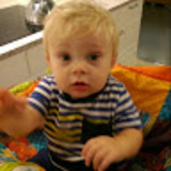 Meet your Posher, Bo - Picture 1 of 1